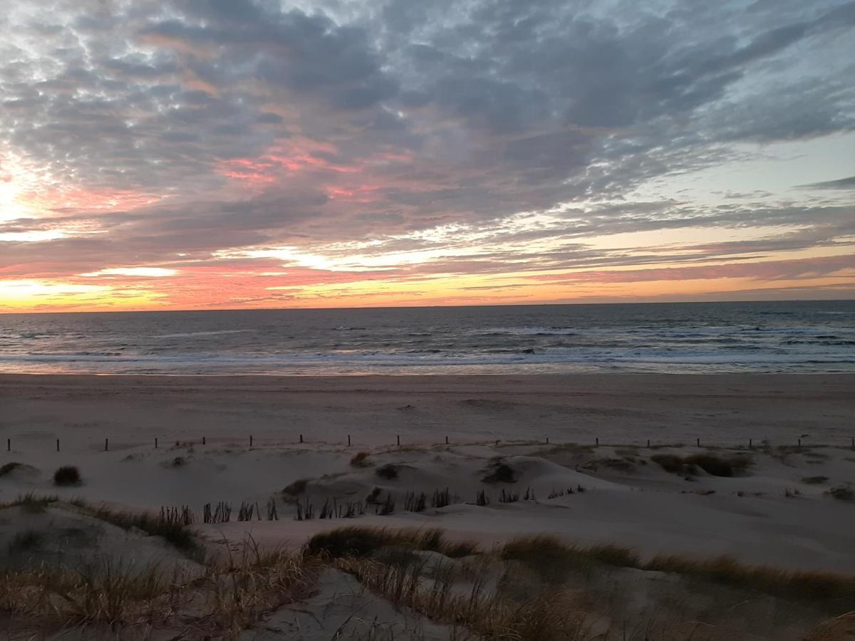 Boshuisje Petten Aan Zee Ngoại thất bức ảnh